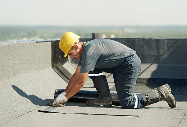 Best Insulation Maintenance and Repair in Clearwater, SC